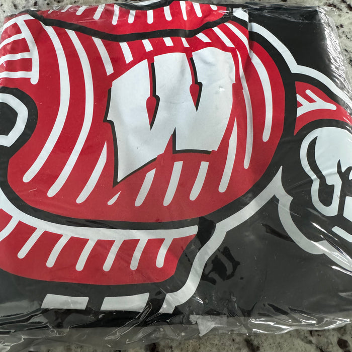 Wisconsin Badgers Economy Grill Cover